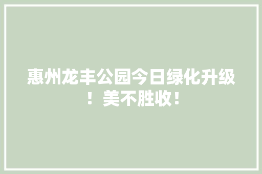 惠州龙丰公园今日绿化升级！美不胜收！