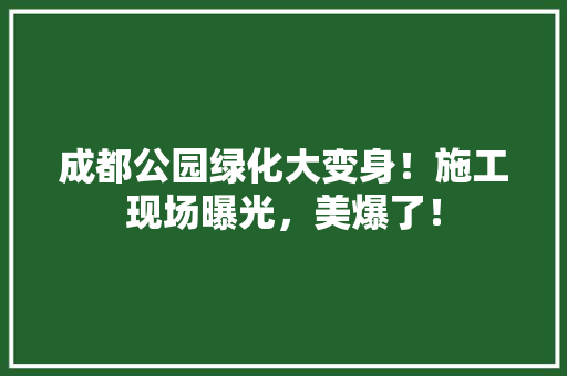 成都公园绿化大变身！施工现场曝光，美爆了！