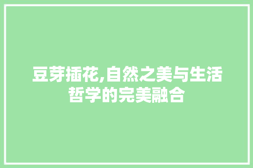 豆芽插花,自然之美与生活哲学的完美融合
