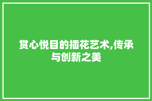 赏心悦目的插花艺术,传承与创新之美 水果育苗