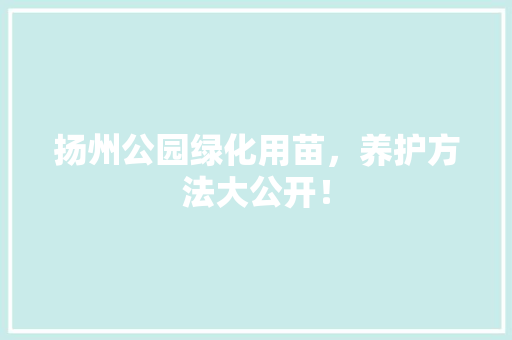 扬州公园绿化用苗，养护方法大公开！
