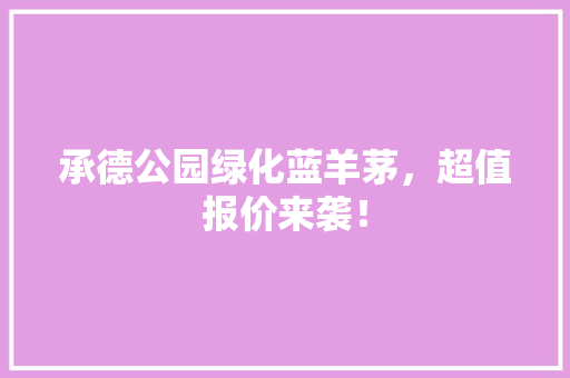 承德公园绿化蓝羊茅，超值报价来袭！