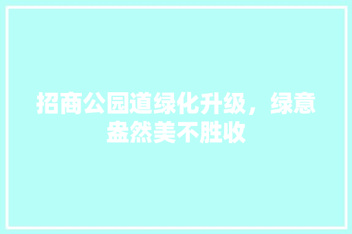招商公园道绿化升级，绿意盎然美不胜收