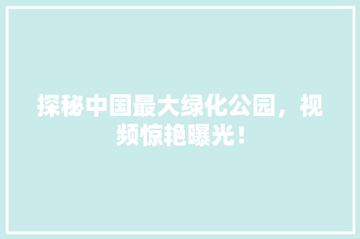 探秘中国最大绿化公园，视频惊艳曝光！