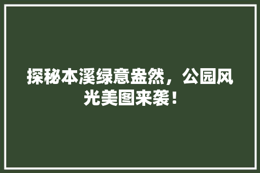 探秘本溪绿意盎然，公园风光美图来袭！