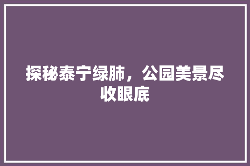 探秘泰宁绿肺，公园美景尽收眼底