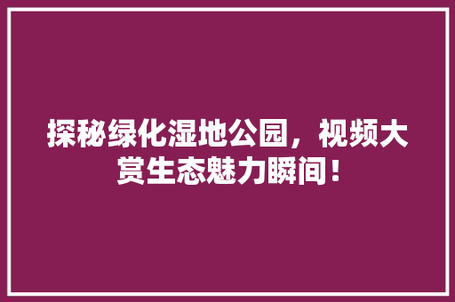 探秘绿化湿地公园，视频大赏生态魅力瞬间！