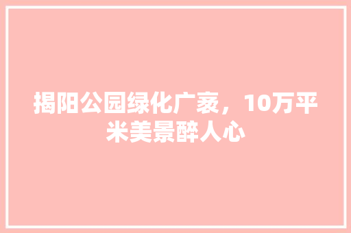 揭阳公园绿化广袤，10万平米美景醉人心