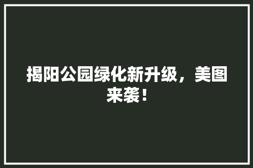 揭阳公园绿化新升级，美图来袭！