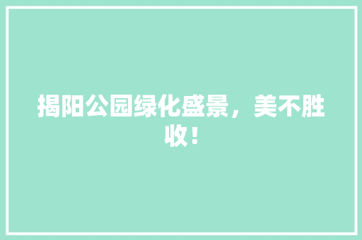 揭阳公园绿化盛景，美不胜收！