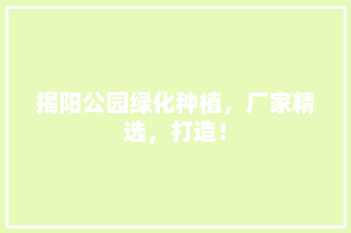揭阳公园绿化种植，厂家精选，打造！