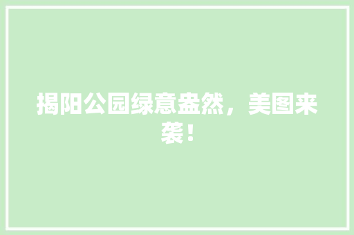 揭阳公园绿意盎然，美图来袭！