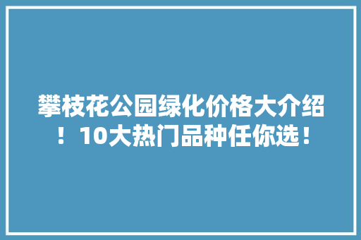攀枝花公园绿化价格大介绍！10大热门品种任你选！