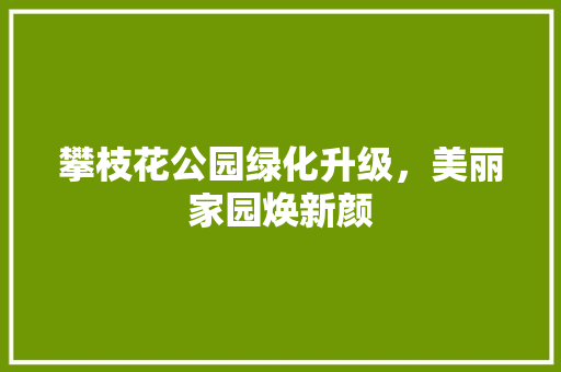 攀枝花公园绿化升级，美丽家园焕新颜