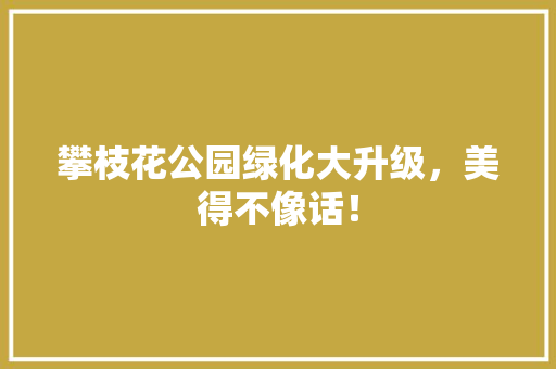 攀枝花公园绿化大升级，美得不像话！