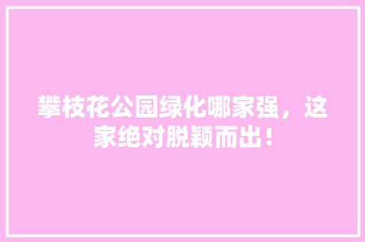 攀枝花公园绿化哪家强，这家绝对脱颖而出！