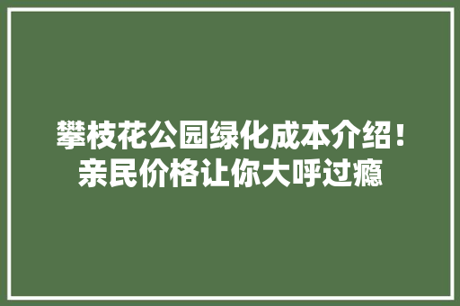 攀枝花公园绿化成本介绍！亲民价格让你大呼过瘾