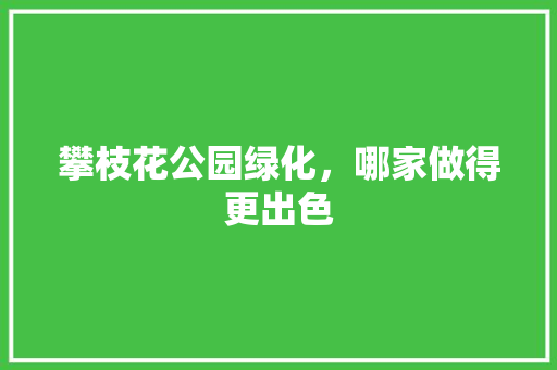 攀枝花公园绿化，哪家做得更出色