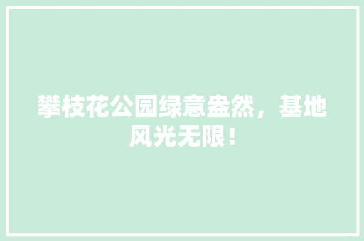 攀枝花公园绿意盎然，基地风光无限！