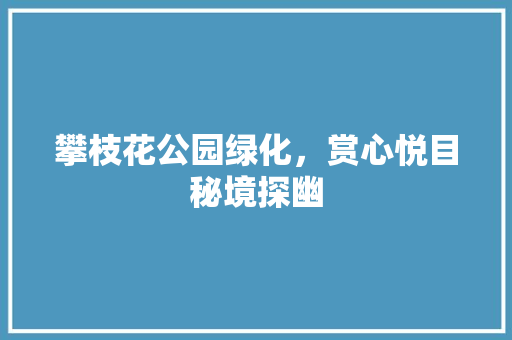 攀枝花公园绿化，赏心悦目秘境探幽
