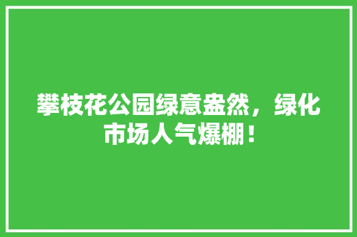 攀枝花公园绿意盎然，绿化市场人气爆棚！