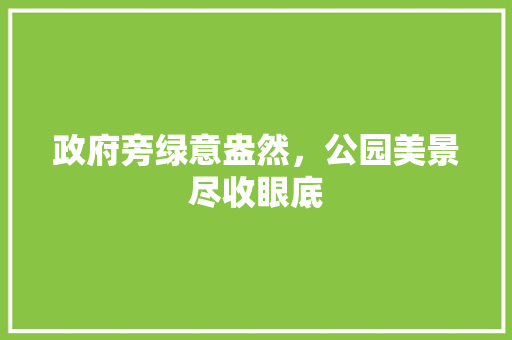 政府旁绿意盎然，公园美景尽收眼底