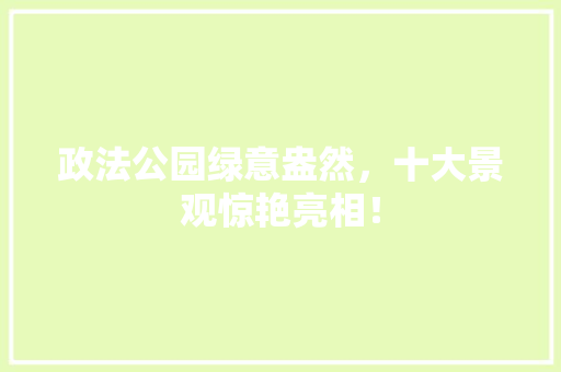 政法公园绿意盎然，十大景观惊艳亮相！