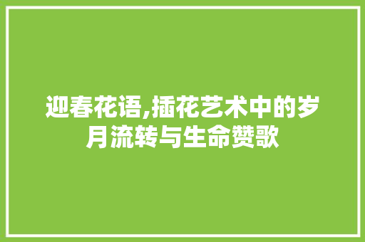 迎春花语,插花艺术中的岁月流转与生命赞歌