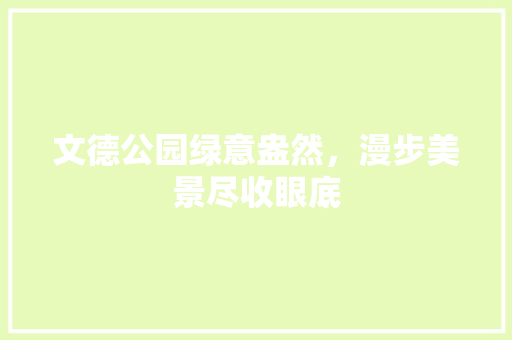 文德公园绿意盎然，漫步美景尽收眼底