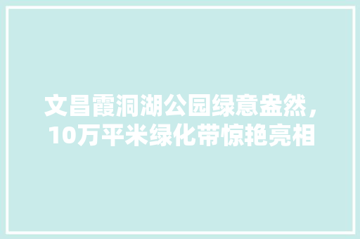 文昌霞洞湖公园绿意盎然，10万平米绿化带惊艳亮相