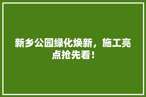 新乡公园绿化焕新，施工亮点抢先看！