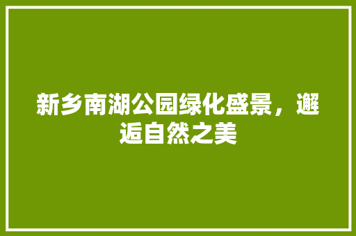 新乡南湖公园绿化盛景，邂逅自然之美