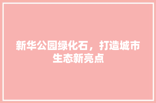新华公园绿化石，打造城市生态新亮点