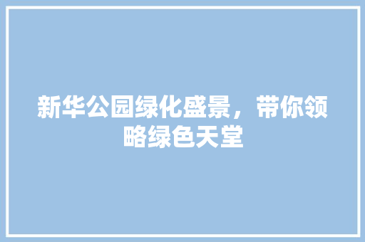 新华公园绿化盛景，带你领略绿色天堂