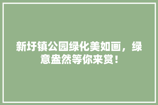 新圩镇公园绿化美如画，绿意盎然等你来赏！