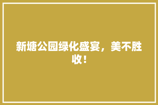 新塘公园绿化盛宴，美不胜收！