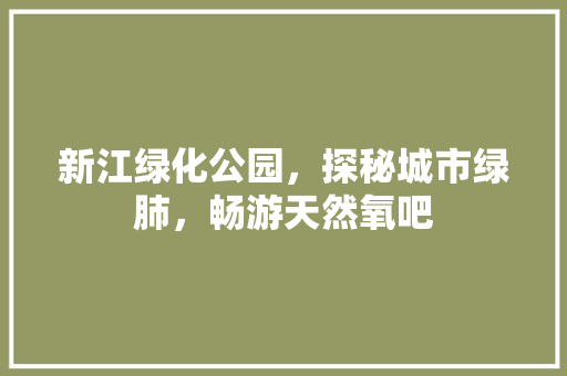 新江绿化公园，探秘城市绿肺，畅游天然氧吧