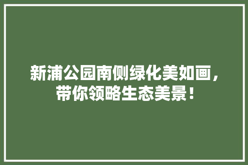 新浦公园南侧绿化美如画，带你领略生态美景！