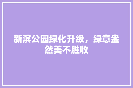 新滨公园绿化升级，绿意盎然美不胜收