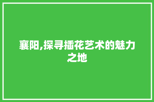 襄阳,探寻插花艺术的魅力之地