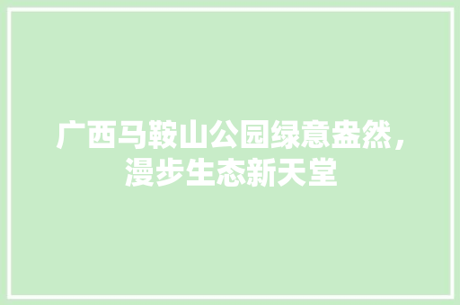广西马鞍山公园绿意盎然，漫步生态新天堂