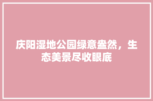 庆阳湿地公园绿意盎然，生态美景尽收眼底