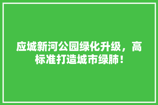 应城新河公园绿化升级，高标准打造城市绿肺！
