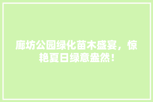 廊坊公园绿化苗木盛宴，惊艳夏日绿意盎然！
