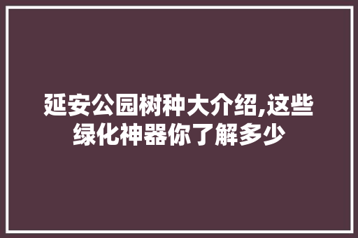 延安公园树种大介绍,这些绿化神器你了解多少