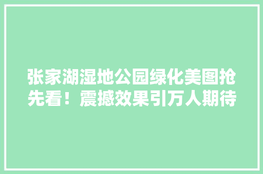 张家湖湿地公园绿化美图抢先看！震撼效果引万人期待