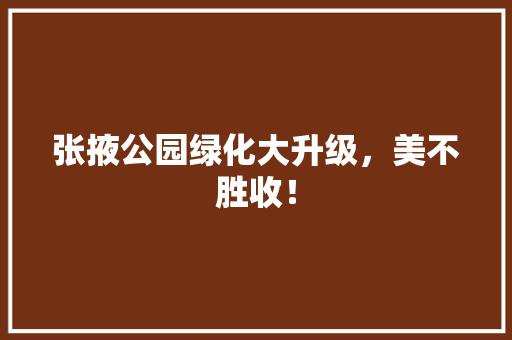 张掖公园绿化大升级，美不胜收！