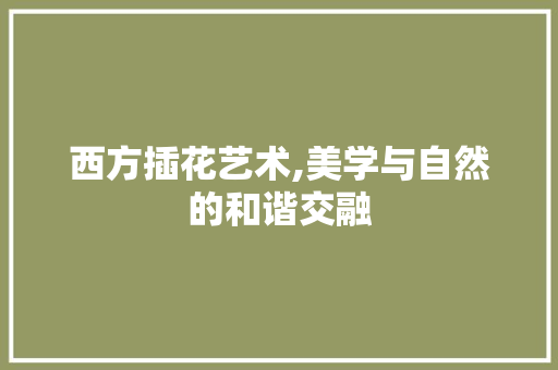 西方插花艺术,美学与自然的和谐交融