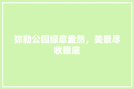 弥勒公园绿意盎然，美景尽收眼底