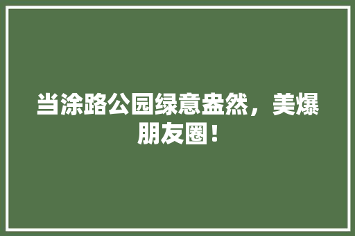 当涂路公园绿意盎然，美爆朋友圈！